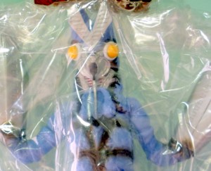 ウルトラマン 出張買取 苫小牧市