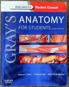 anatomy