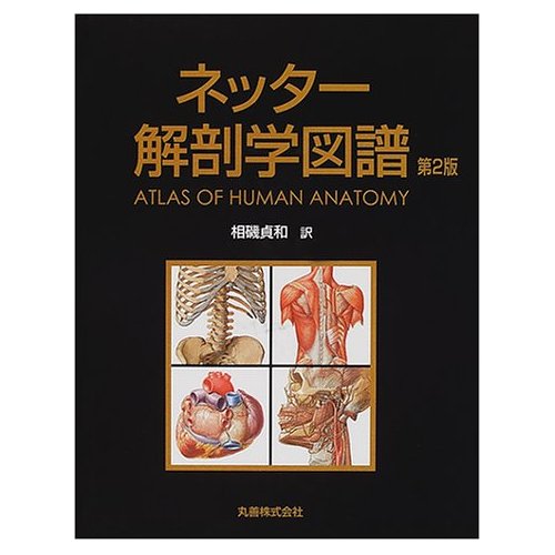 ネッター解剖学図譜